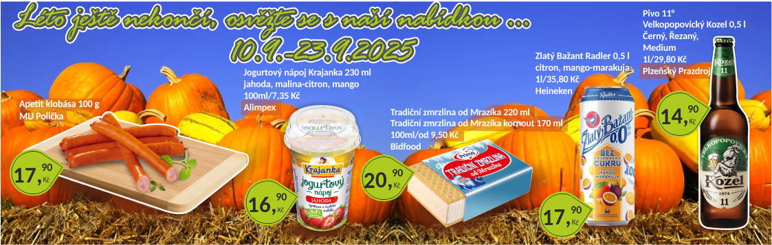 026-banner-zari-25.png